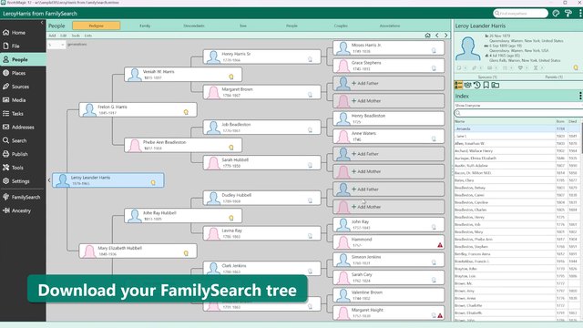 How to Download Your FamilySearch Tree to Your Computer, Free, with RootsMagic 12