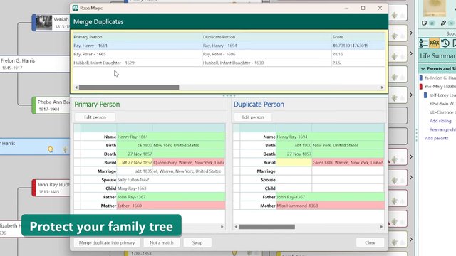Protect Your Family Tree in RootsMagic 12: Backups, Problem Alerts, Merging Duplicates, and Privacy