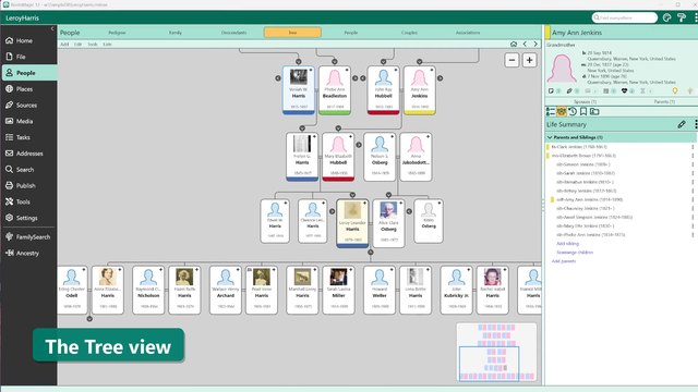 The New Tree View in RootsMagic 12: Explore Ancestors and Descendants from One Person