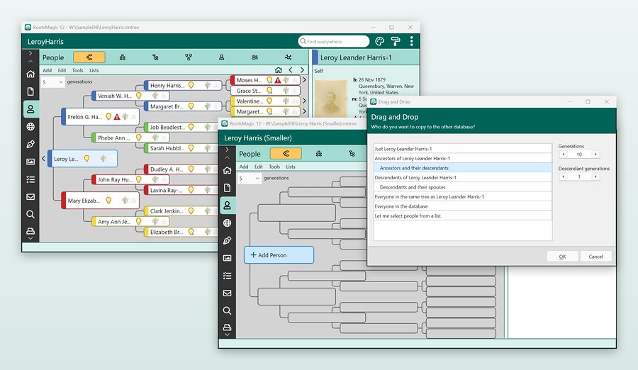 Two trees open in RootsMagic 12, with the Drag and Drop window asking who to copy to the other tree